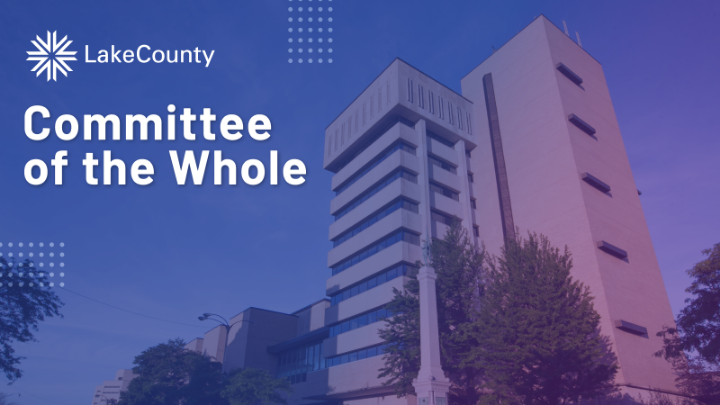 Committee of the Whole